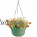 Dura Cotta Round Hanging Planter (Set of 12) Size: 6" H x 12.38" W x 12.38" D, Color: Midsummer Night   